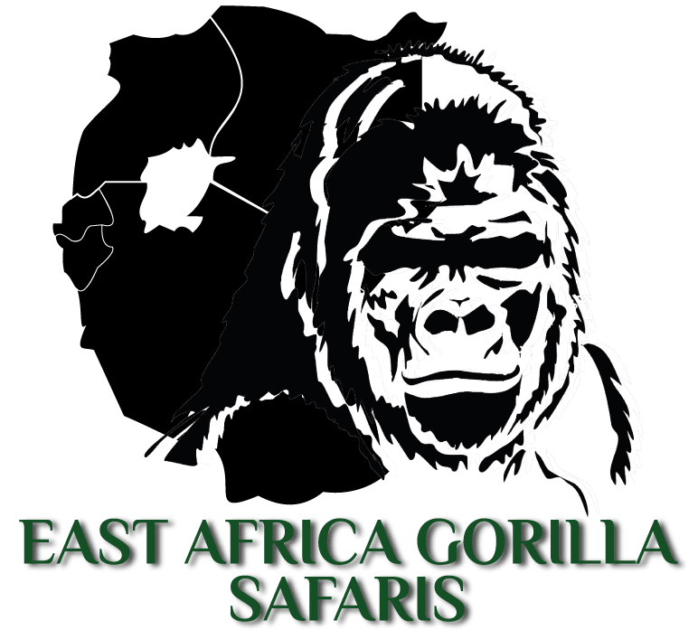 East Africa Gorilla Safaris